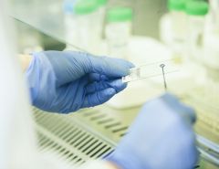 A minták laboratóriumi elemzése a klinikai vizsgálatok fontos része